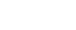 WOODENCAM.webp